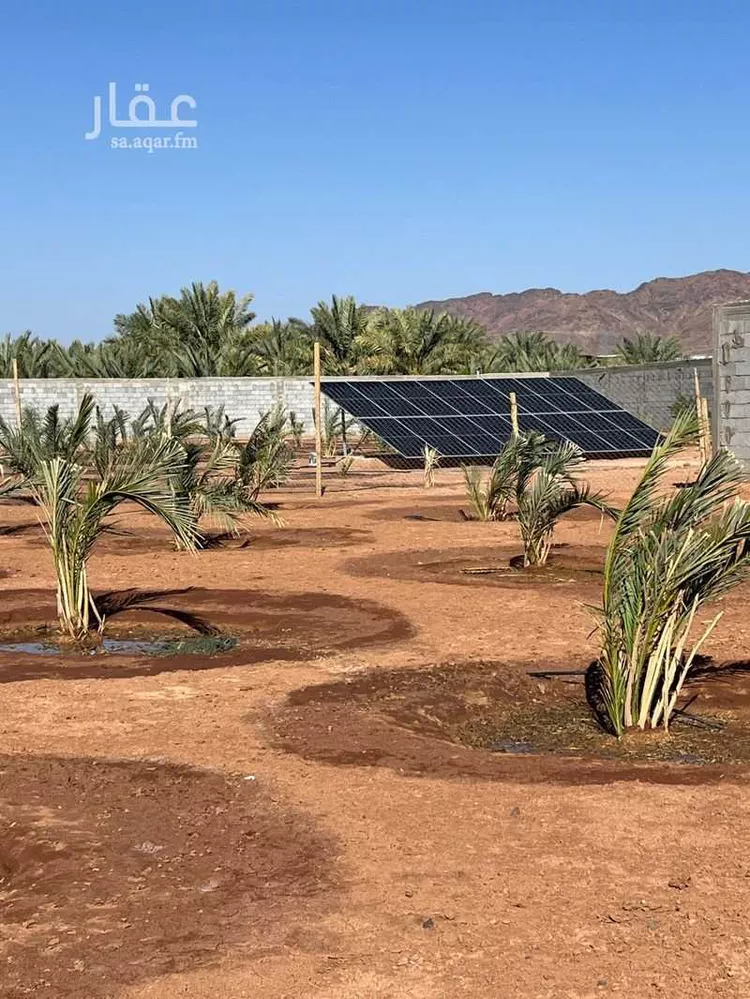 مزرعة للبيع في شارع اوس بن سعد, حي الخضراء, مدينة المدينة المنورة, منطقة المدينة المنورة