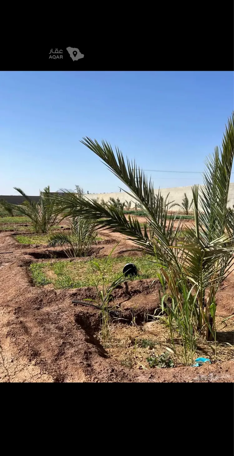 Farm for Sale in Medina King Fahd 14