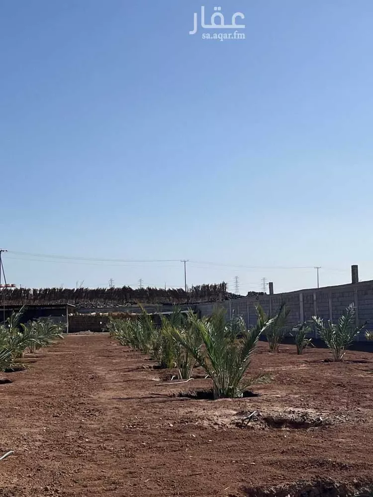 مزرعة للبيع في شارع اوس بن سعد, حي الخضراء, مدينة المدينة المنورة, منطقة المدينة المنورة صورة 3