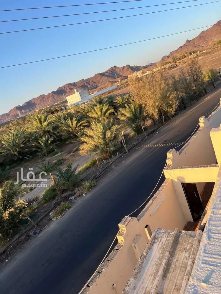 مزرعة للبيع في حي العاقول, مدينة المدينة المنورة, منطقة المدينة المنورة 19