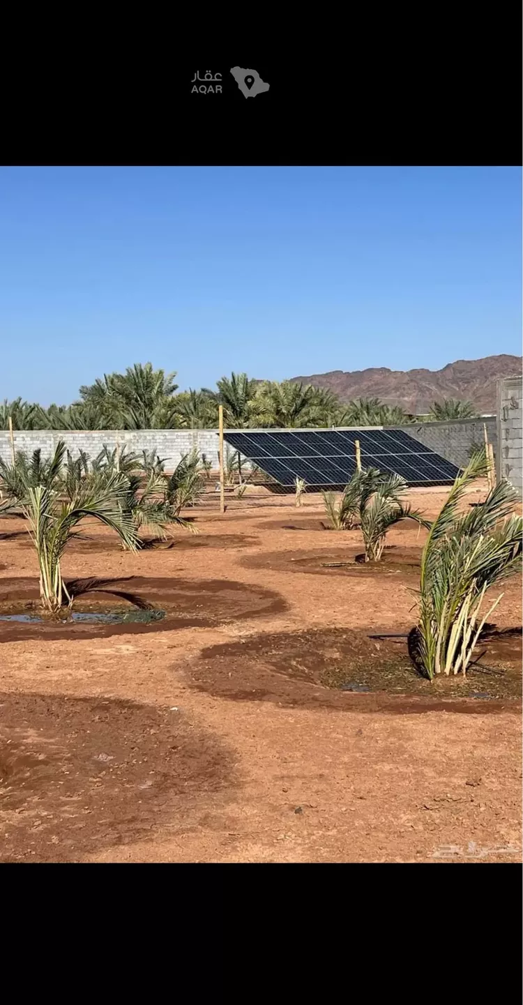 Farm for Sale in Medina King Fahd 11