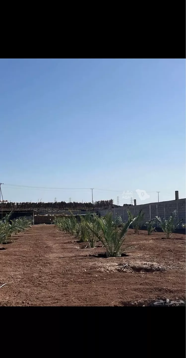 Farm for Sale in Medina King Fahd 10