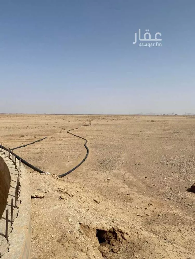 مزرعة للبيع في حي النومانيه, مدينة النومانيه, منطقة القصيم
