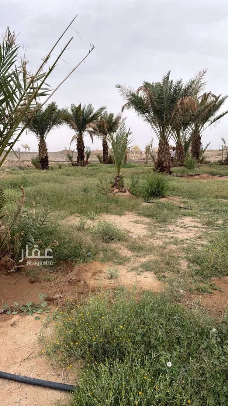 مزرعة للبيع في المملكة العربية السعودية