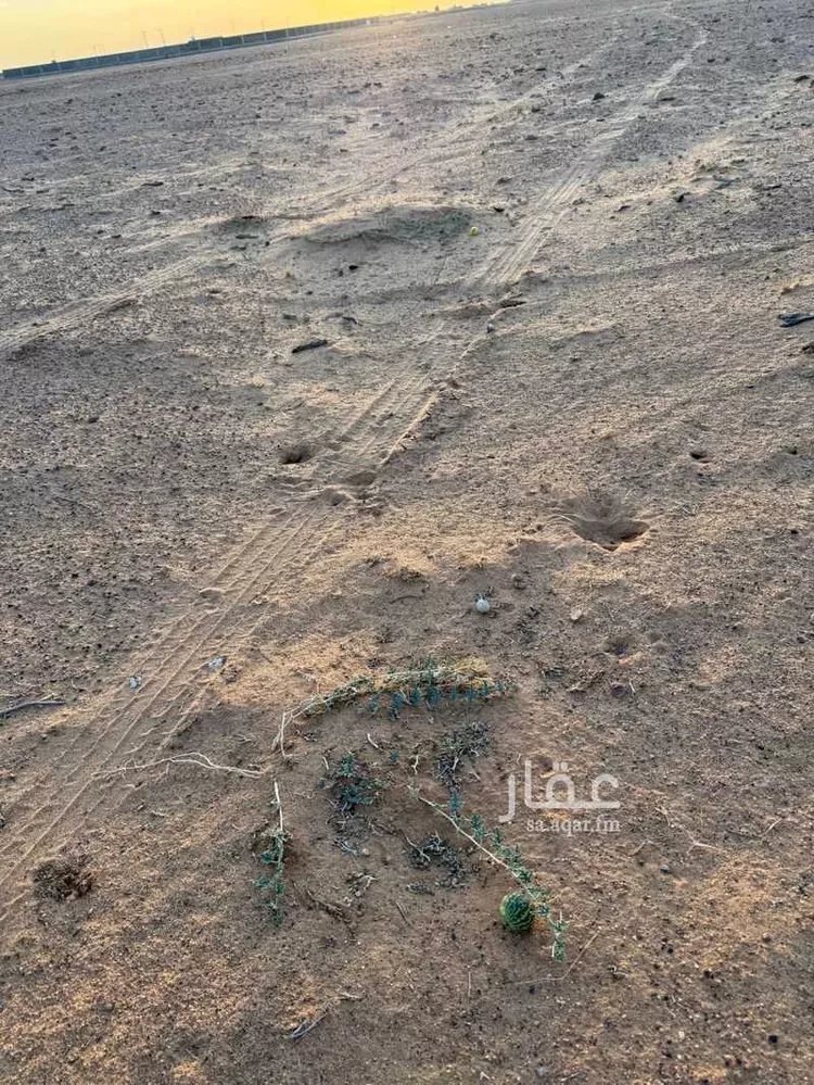 أرض للإيجار في شارع الدقم, حي الجديده, مدينة المزاحمية - الجديده, منطقة الرياض صورة 2