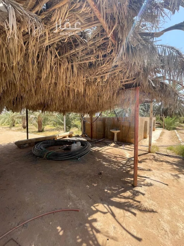 مزرعة للبيع في شارع الحسى 285, حي الحسى, مدينة الحسى, منطقة الرياض 6