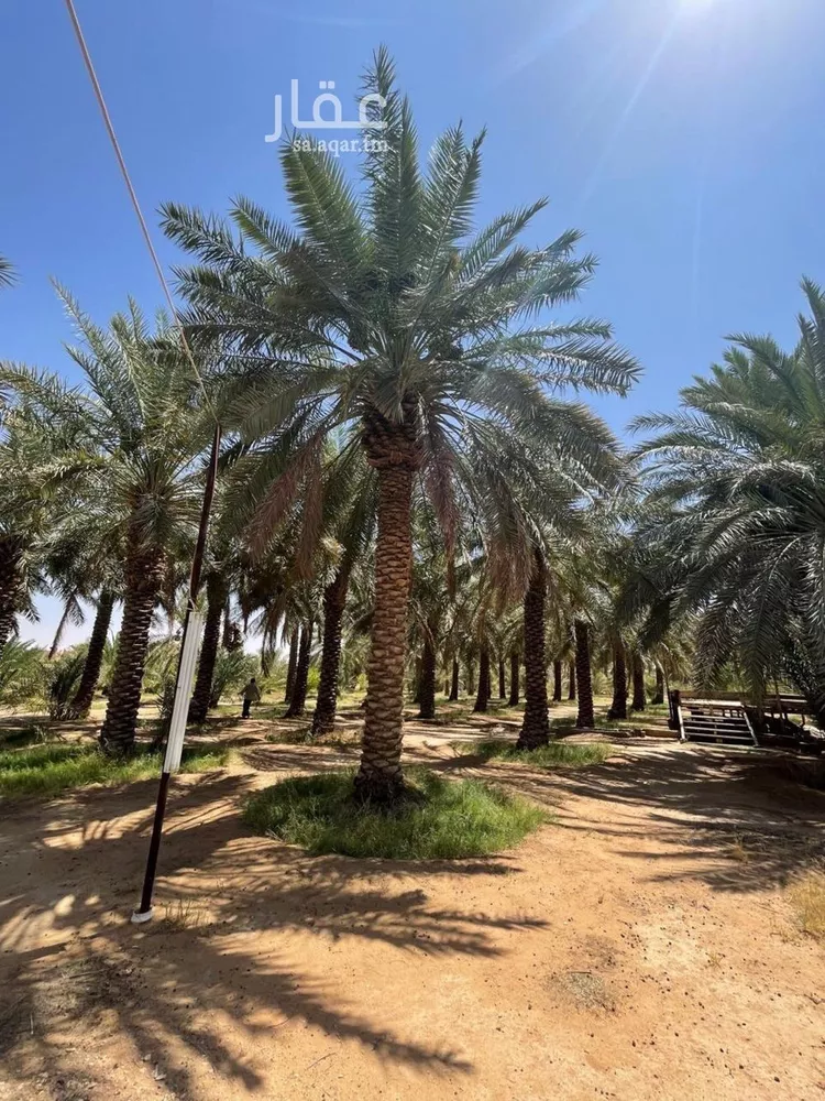 Farm for Sale in Thadiq Ad Deerah Al Kadimah