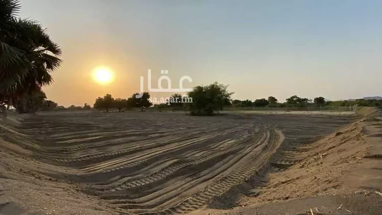 مزرعة للبيع في شارع العاليه 659, حي الطرق, مدينة امارة منطقة عسير - الطرق, منطقة عسير صورة 3