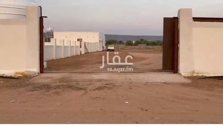 مزرعة للبيع في شارع قبل جامع الاحسان 2 كيلو , حي المندسة, مدينة المدينة المنورة, منطقة المدينة المنورة صورة 5