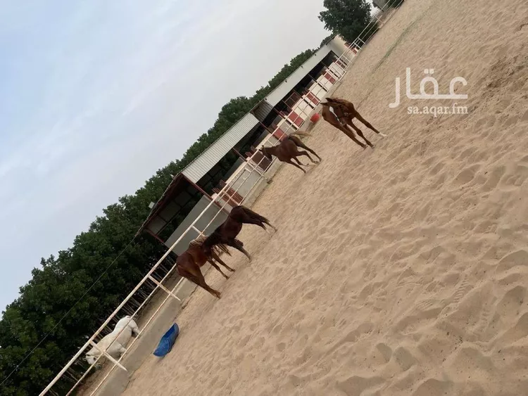 مزرعة للبيع في شارع غرب معمل الفاضلي , حي الحناه, مدينة الحناه, المنطقة الشرقية صورة 2