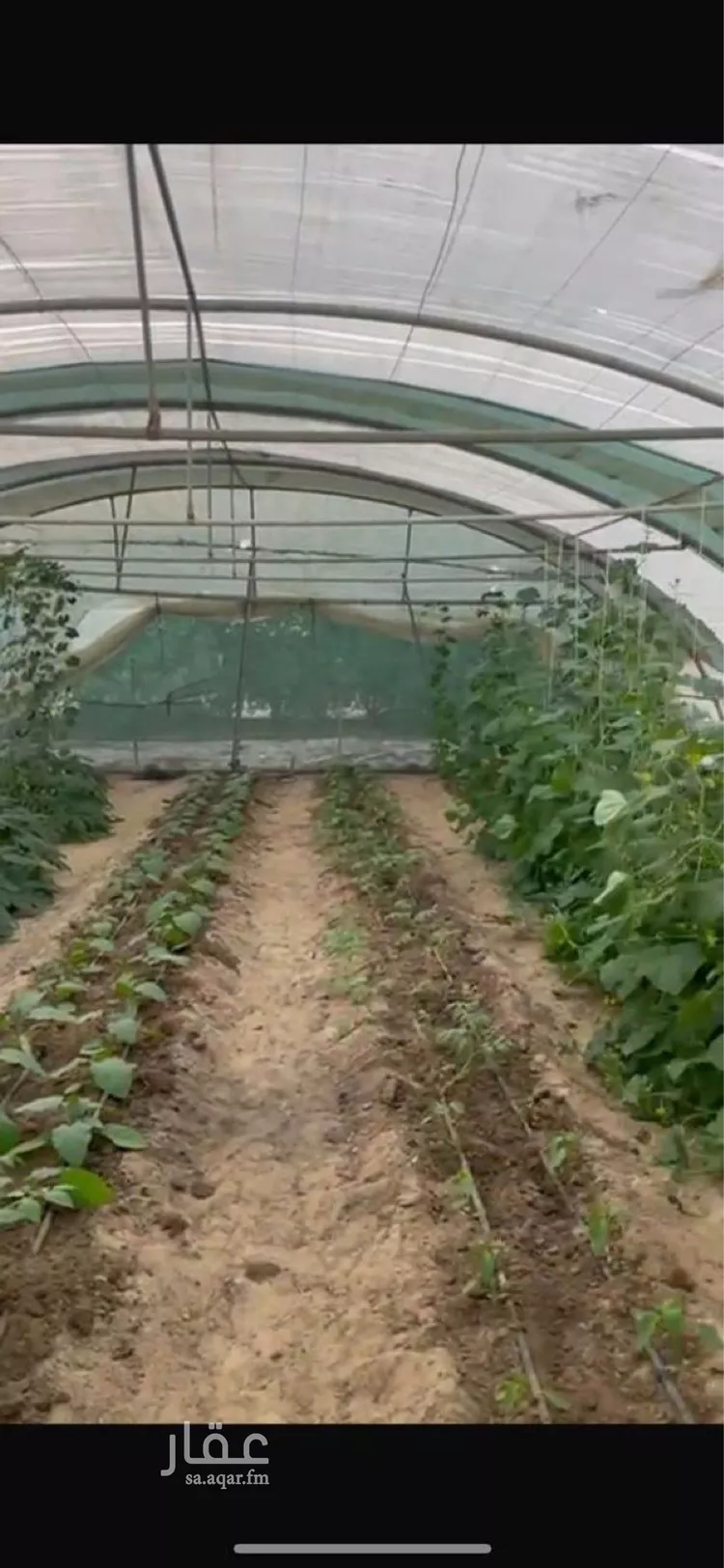 مزرعة للبيع في شارع غرب معمل الفاضلي , حي الحناه, مدينة الحناه, المنطقة الشرقية صورة 5