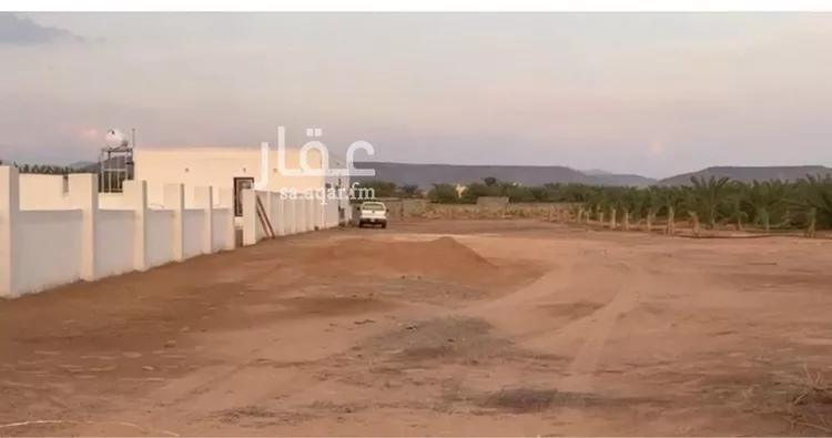 مزرعة للبيع في شارع قبل جامع الاحسان 2 كيلو , حي المندسة, مدينة المدينة المنورة, منطقة المدينة المنورة صورة 4