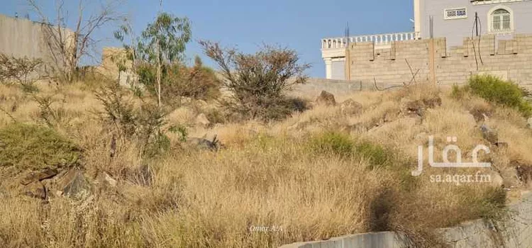 أرض للبيع في شارع 16 الروابي, حي الروابي, مدينة ابها, منطقة عسير صورة 4