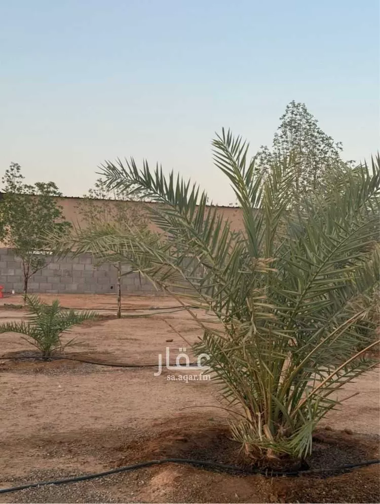 Rest House for Rent in Al Muzahimiyah Shukhaib صورة 3