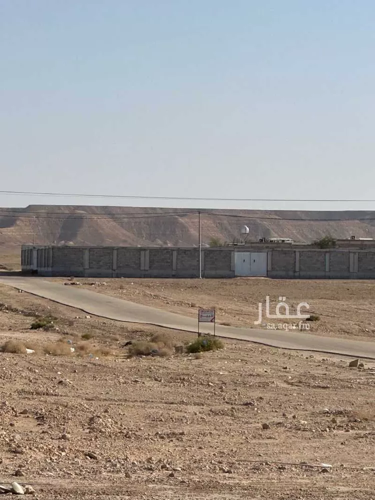 أرض للإيجار في شارع 5897654, حي مزارع وادى العماريه, مدينة مزارع وادى العماريه, منطقة الرياض صورة 2