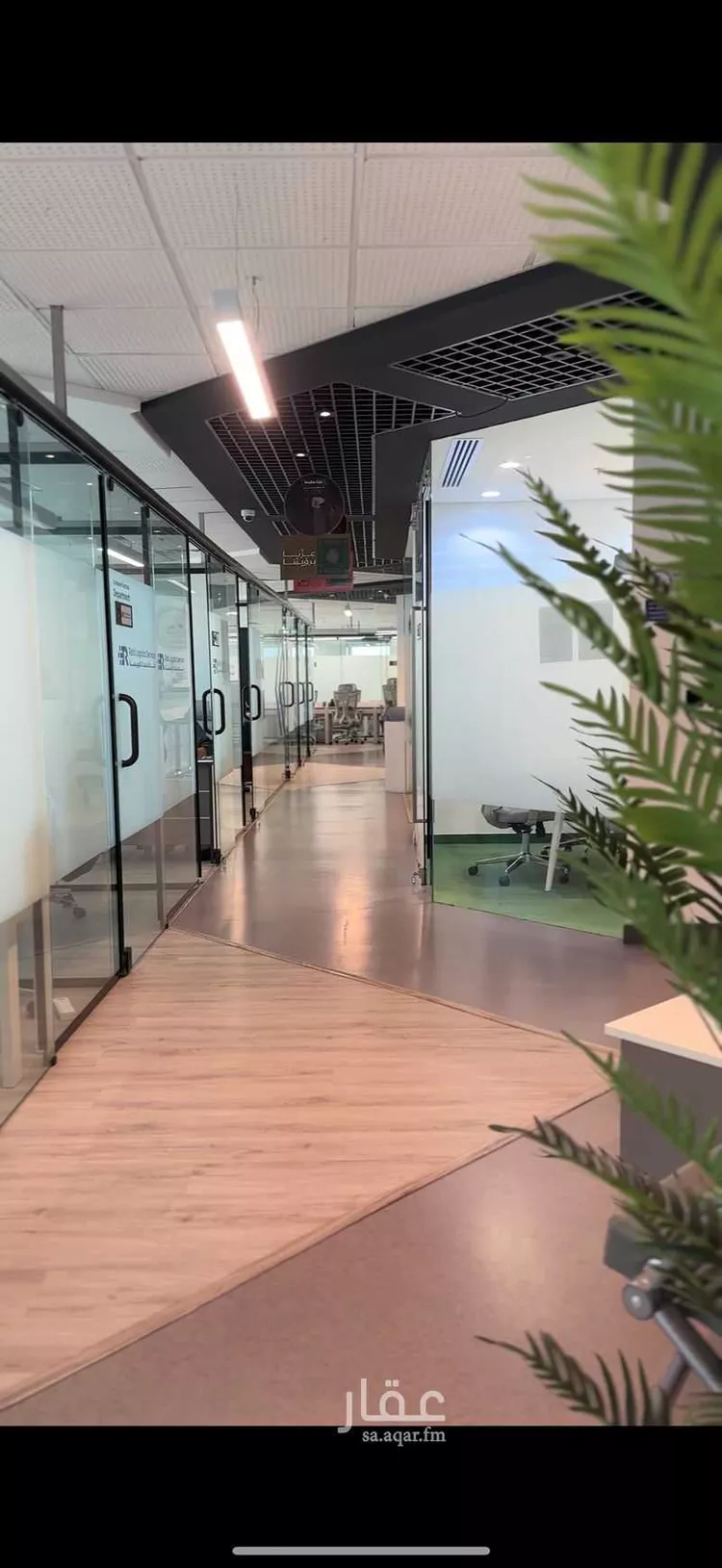 مكتب تجاري للإيجار في شارع احمد الشاهد, حي البغدادية الغربية, مدينة جدة, منطقة مكة المكرمة صورة 2
