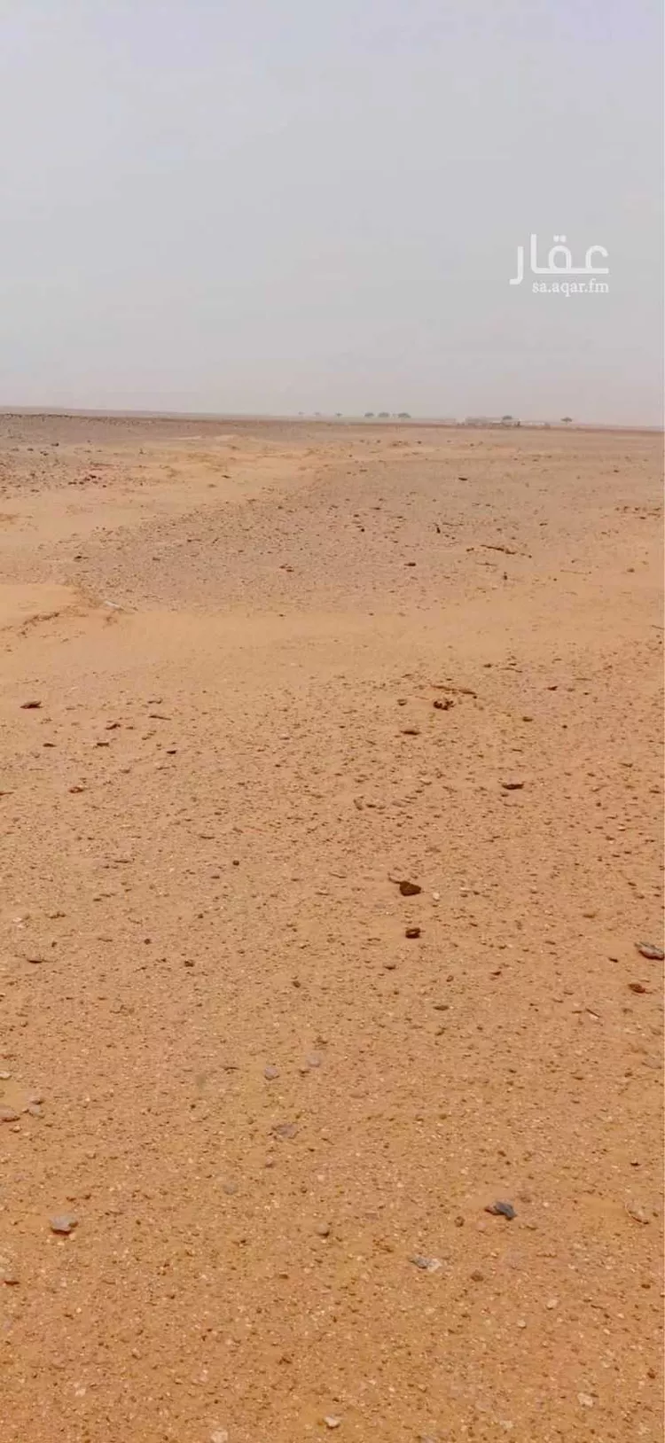 أرض للبيع في شارع 15.15, حي الكلاء ومزارعها, مدينة الكلاء ومزارعها, منطقة الرياض صورة 4