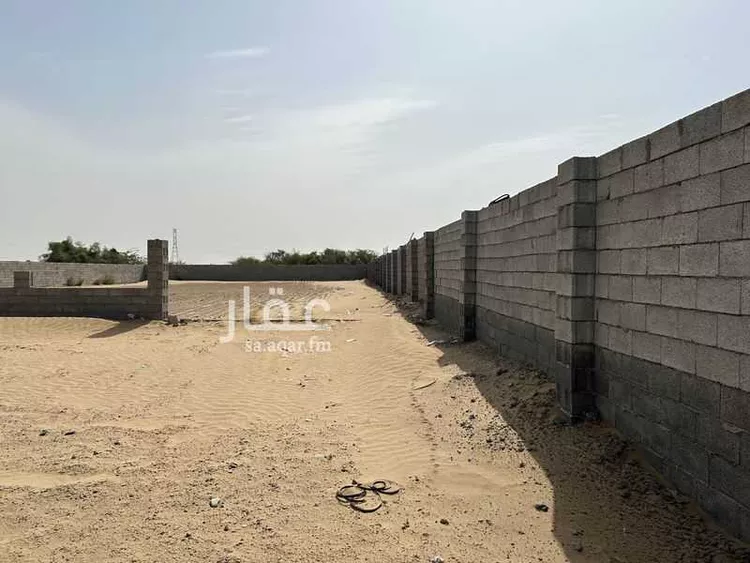 Land for Rent in Al Qunfudhah Al Khalidiyah صورة 5