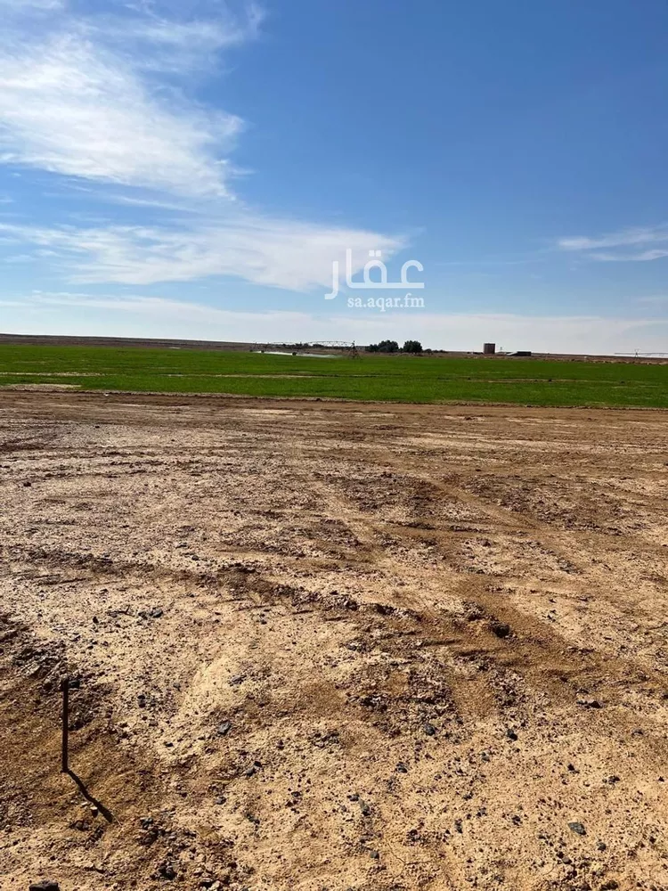 أرض للبيع في حي مزارع الداهنه (القويطير الادني), مدينة مزارع الداهنه (القويطير الادني), منطقة الرياض صورة 4