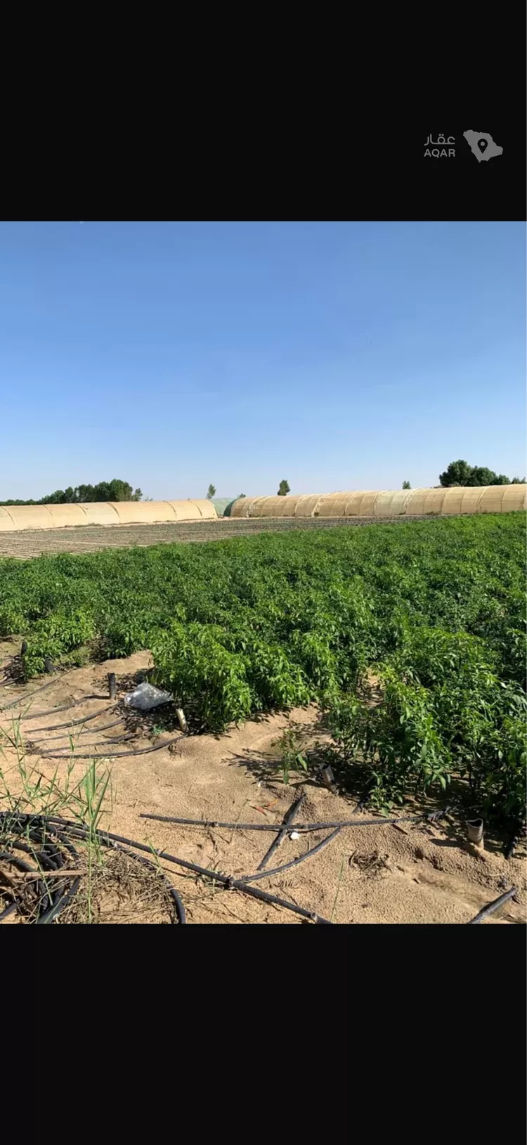 Farm for Sale in Al Jubail Tebah Subdivision