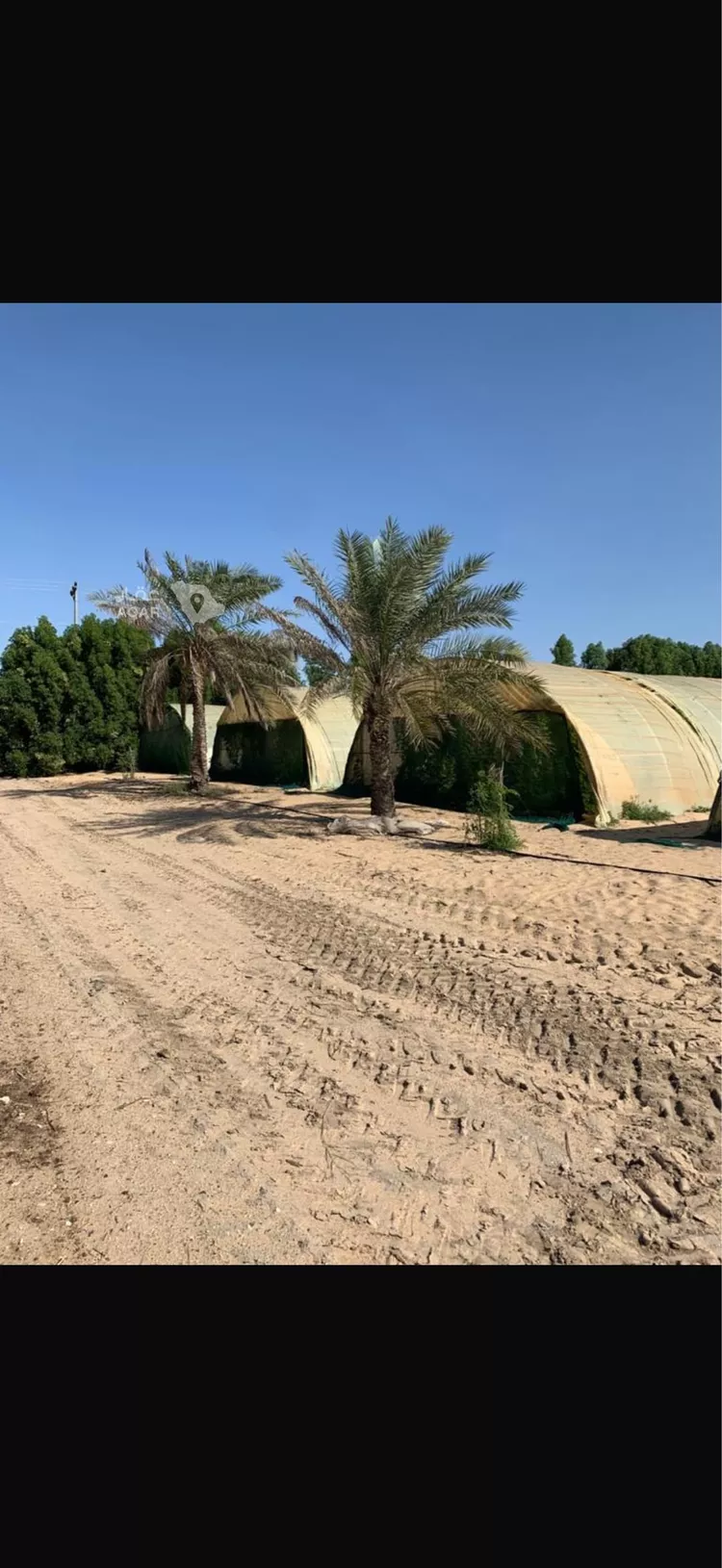 مزرعة للبيع في شارع ابو حدرية , مدينة الجبيل, المنطقة الشرقية 4