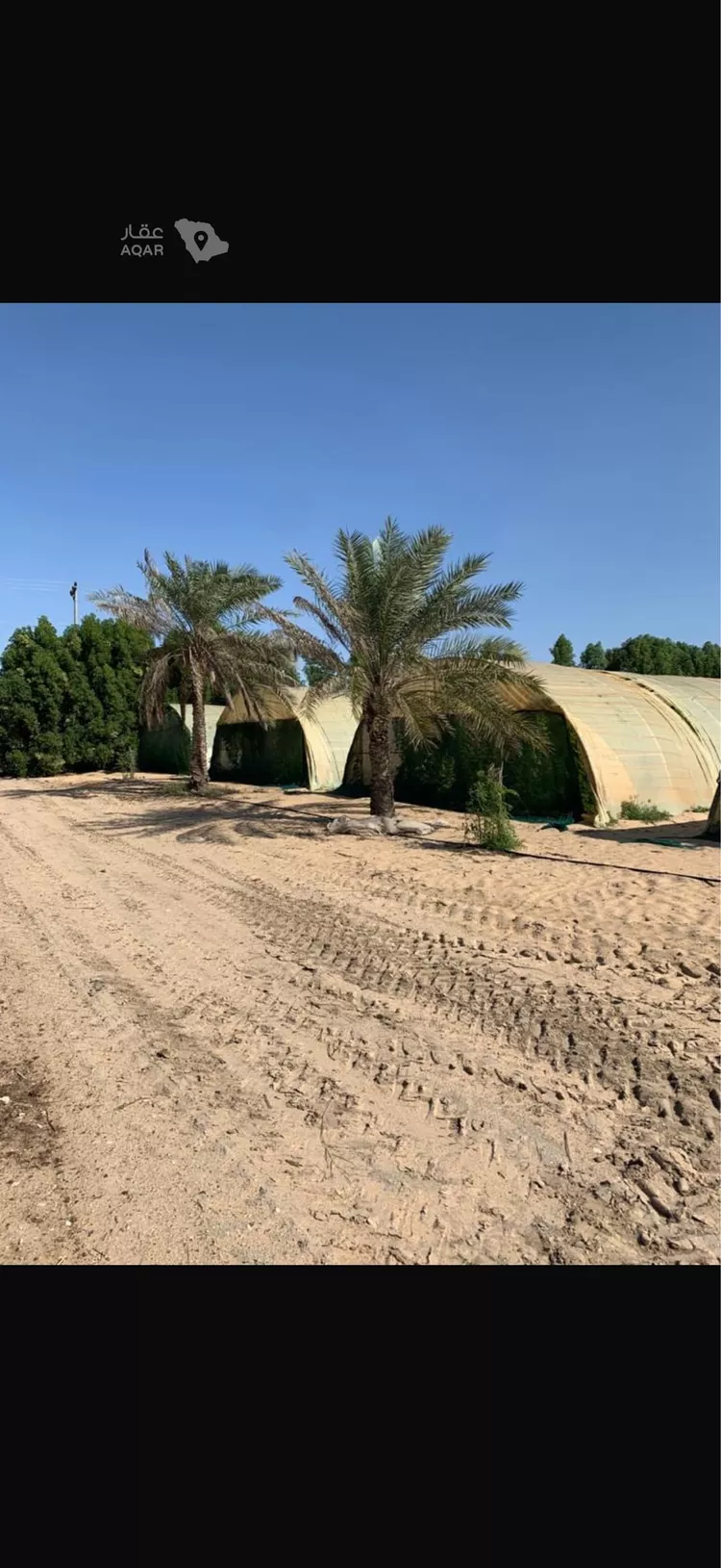 مزرعة للبيع في شارع ابو حدرية , مدينة الجبيل, المنطقة الشرقية صورة 4