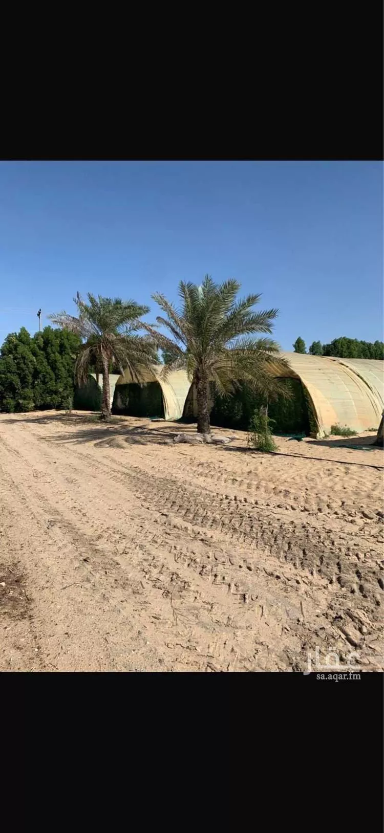 مزرعة للبيع في شارع المشتل, مدينة الجبيل, المنطقة الشرقية صورة 2