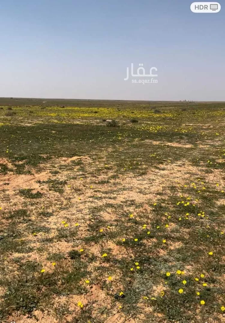 مزرعة للبيع في شارع ضيدة, مدينة السعيره, منطقة القصيم