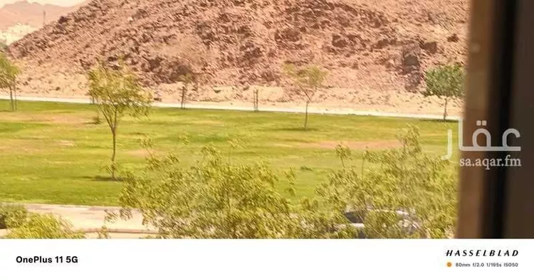 شقة للإيجار في شارع خالد ابن يزيد ابن حارثة, حي الملك فهد, مدينة المدينة المنورة, منطقة المدينة المنورة