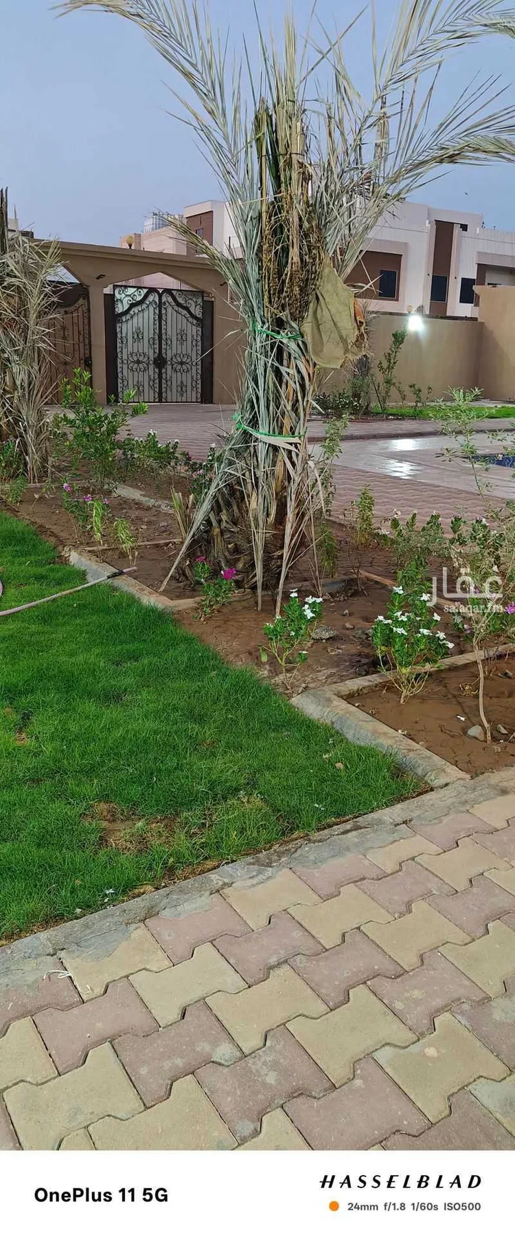Rest House for Rent in Medina King Fahd 12