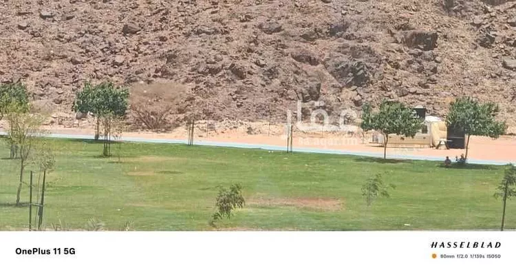 شقة للإيجار في شارع خالد ابن يزيد ابن حارثة, حي الملك فهد, مدينة المدينة المنورة, منطقة المدينة المنورة 14