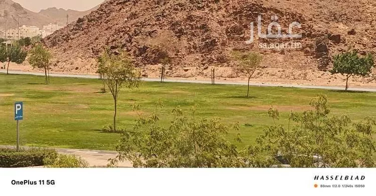 شقة للإيجار في شارع خالد ابن يزيد ابن حارثة, حي الملك فهد, مدينة المدينة المنورة, منطقة المدينة المنورة 10