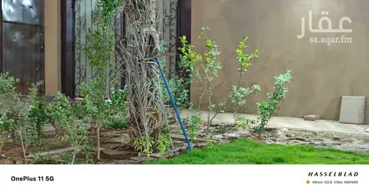 Rest House for Rent in Medina King Fahd 19