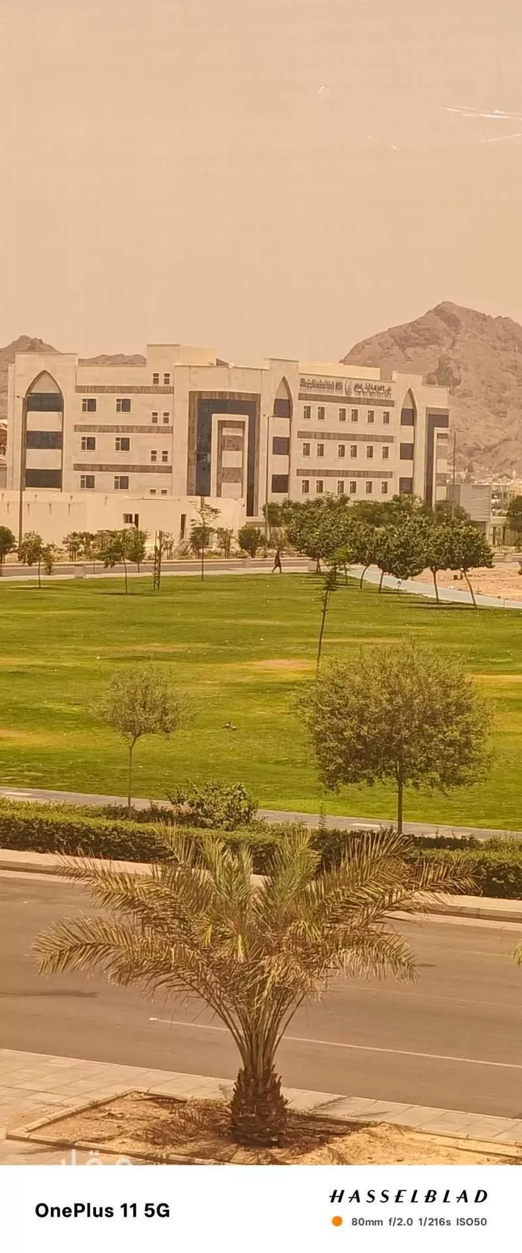 شقة للإيجار في شارع خالد ابن يزيد ابن حارثة, حي الملك فهد, مدينة المدينة المنورة, منطقة المدينة المنورة 7