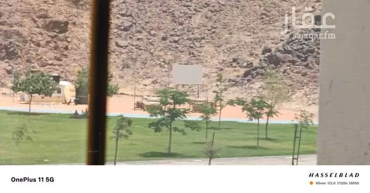 شقة للإيجار في شارع خالد ابن يزيد ابن حارثة, حي الملك فهد, مدينة المدينة المنورة, منطقة المدينة المنورة صورة 3