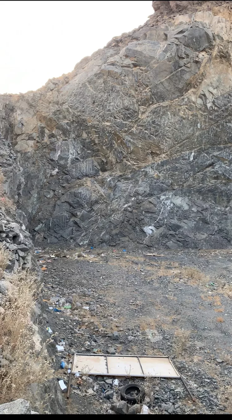 أرض للبيع في شارع عبد الفتاح راوه, حي العوالي, مدينة مكة المكرمة, منطقة مكة المكرمة 3