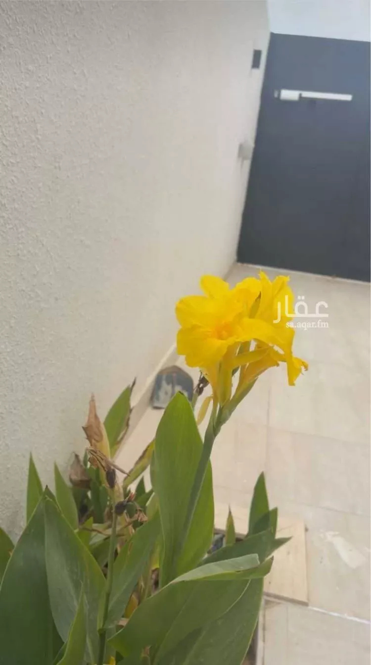 دور للإيجار في حي الرمال, مدينة الرياض, منطقة الرياض صورة 3