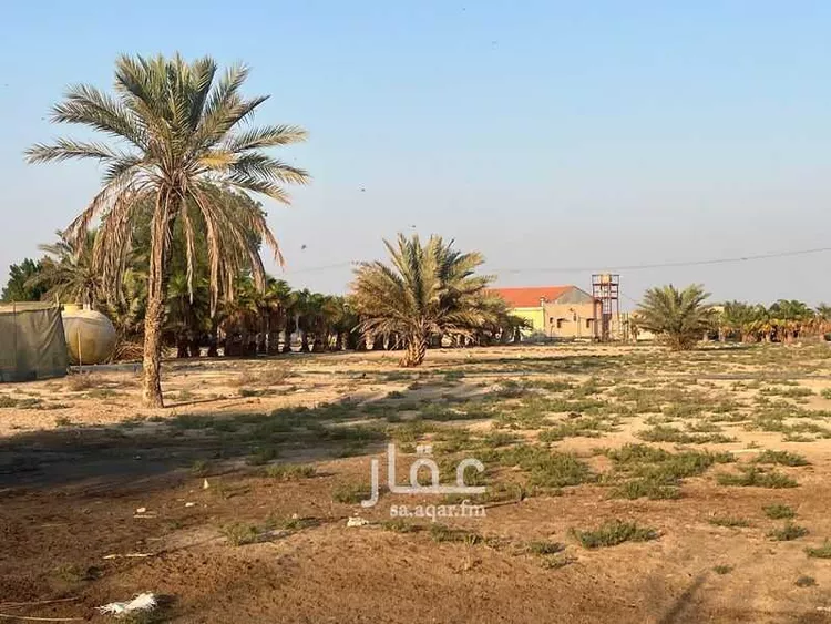 مزرعة للبيع في شارع سيحة أبومعن, مدينة القطيف, المنطقة الشرقية صورة 2