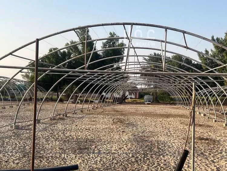 مزرعة للبيع في شارع سيحة أبومعن, مدينة القطيف, المنطقة الشرقية صورة 5