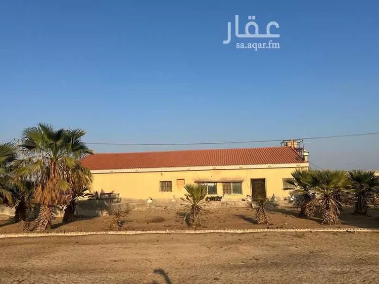 مزرعة للبيع في شارع سيحة أبومعن, مدينة القطيف, المنطقة الشرقية صورة 4