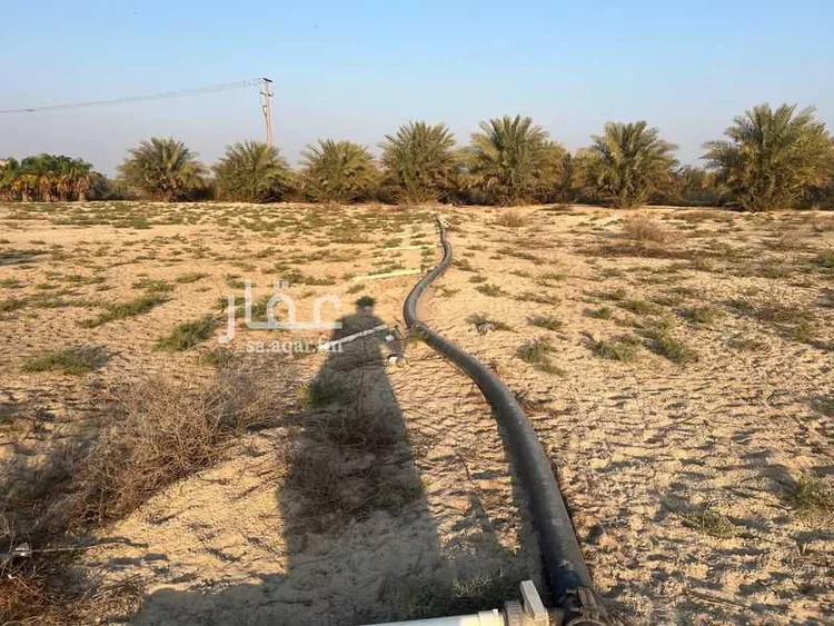 مزرعة للبيع في شارع سيحة أبومعن, مدينة القطيف, المنطقة الشرقية صورة 3