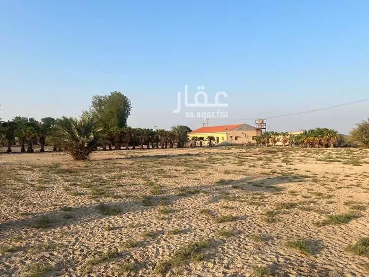 مزرعة للبيع في شارع سيحة أبومعن, مدينة القطيف, المنطقة الشرقية