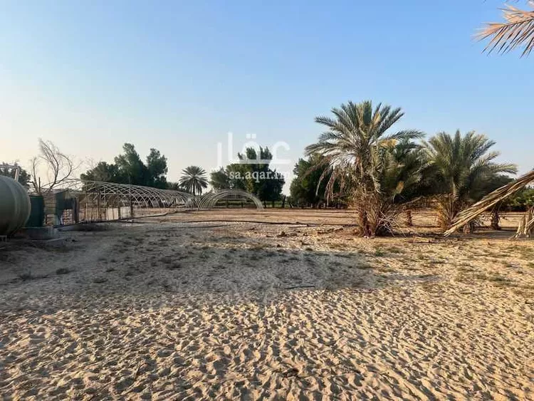 مزرعة للبيع في شارع سيحة أبومعن, مدينة القطيف, المنطقة الشرقية صورة 3
