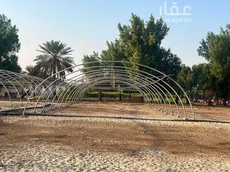 مزرعة للبيع في شارع سيحة أبومعن, مدينة القطيف, المنطقة الشرقية صورة 4