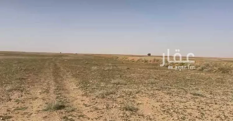 أرض للبيع في شارع   شارع بكر بن أمية الضمري, حي السلام, مدينة القواره, منطقة القصيم صورة 2