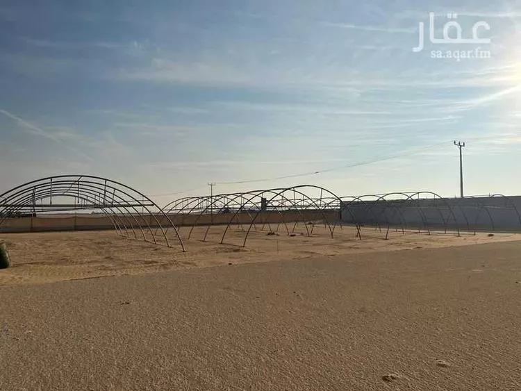 Farm for Sale in Buqayq Ar Rabwah صورة 3
