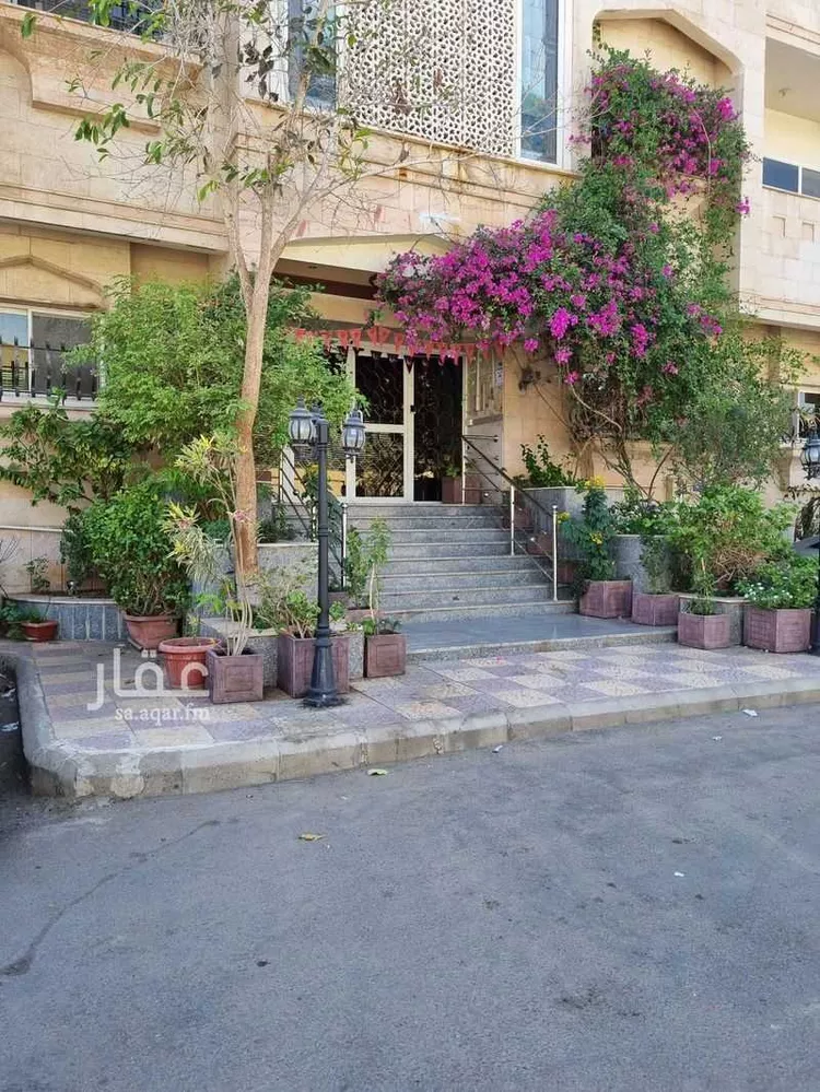 شقة للإيجار في شارع صفية ، حي النسيم ، جدة ، جدة