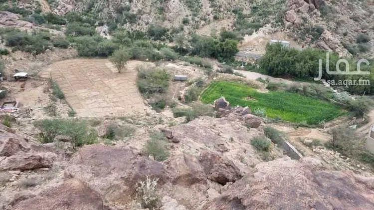 مزرعة للبيع في وادي بقرة العليا ، المجاردة صورة 5