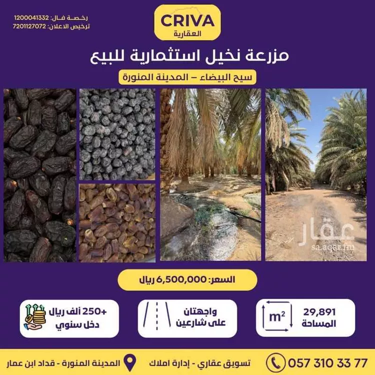 Farm for Sale in Medina Al Balqaa صورة 2