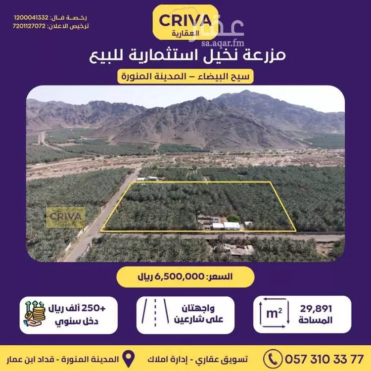 Farm for Sale in Medina Al Balqaa 1 صورة